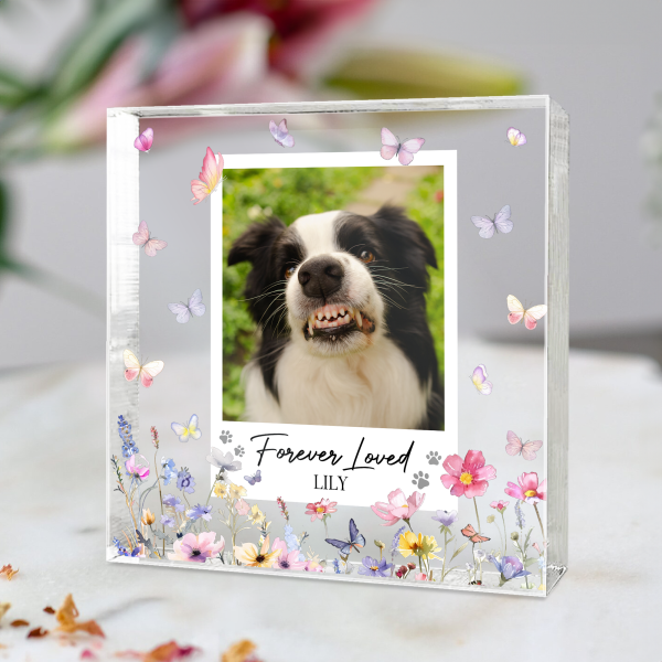 Forever-Loved-Pet-Memorial-Personalized-Acrylic-Photo-Plaque_1.png