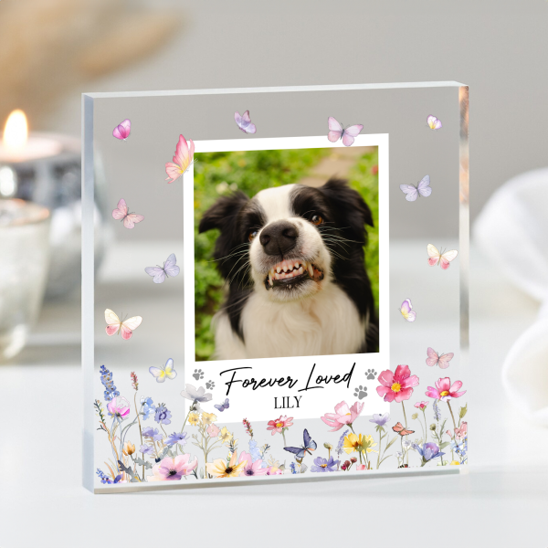 Forever-Loved-Pet-Memorial-Personalized-Acrylic-Photo-Plaque_4.png